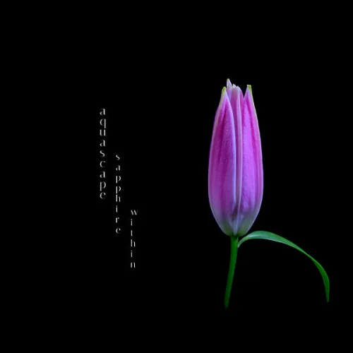 Aquascape - Sapphire Within (2026)