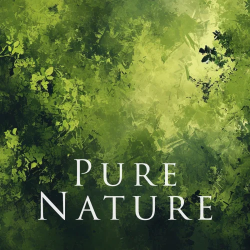 Buddha Code - Pure Nature (2026)