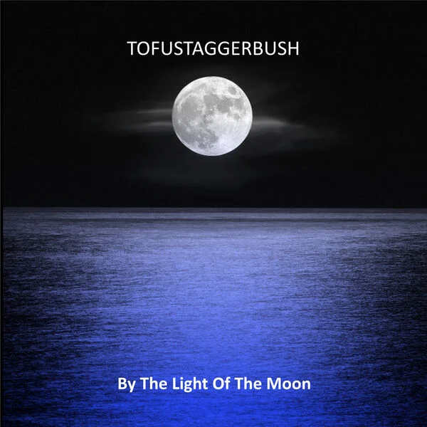 Tofustaggerbush - By The Light Of The Moon (2026)