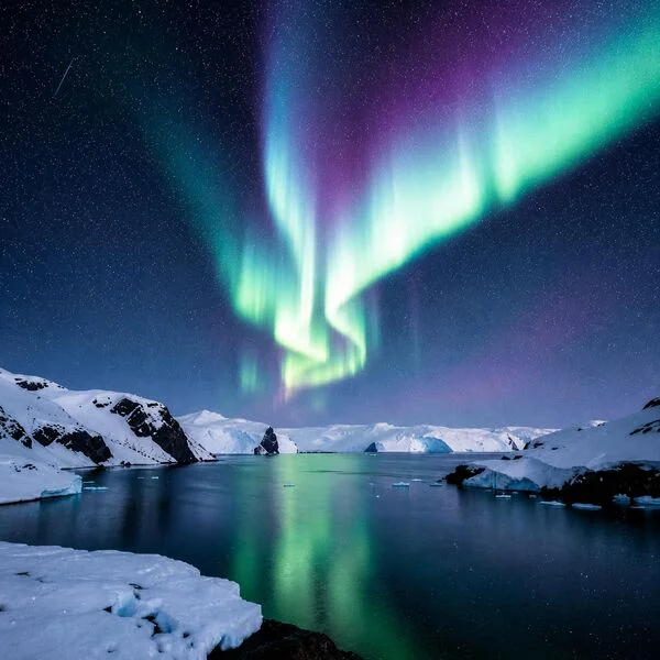 Chasing Northward - Where Thoughts Untangle (2026)