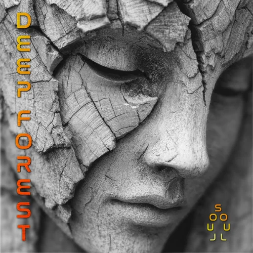 Deep Forest - Soul (2026)