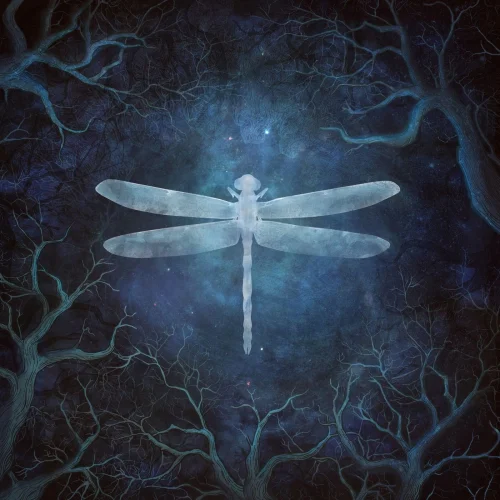 Amethystium - Odonata: 20th Anniversary Edition (2020)