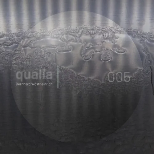 Bernhard Wöstheinrich - Qualia 005 (2026)