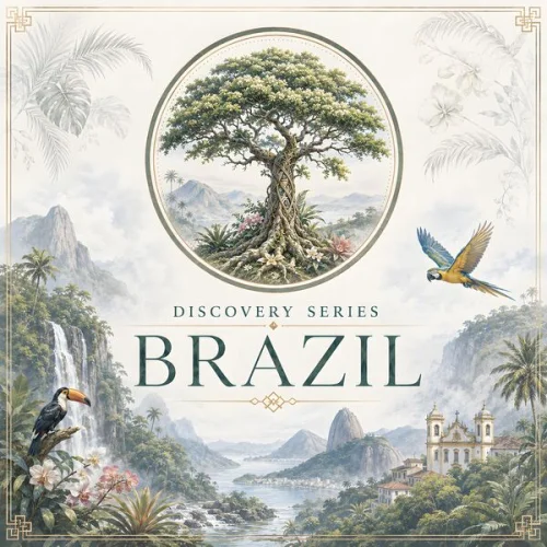 BluetreeAudio - Discovery Series (Brazil) (2026)
