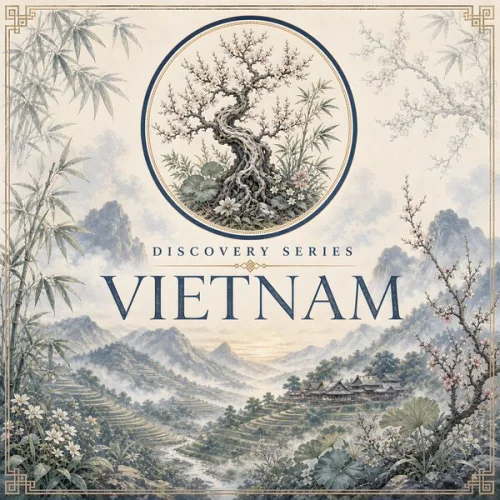 BluetreeAudio - Discovery Series (Vietnam) (2026)