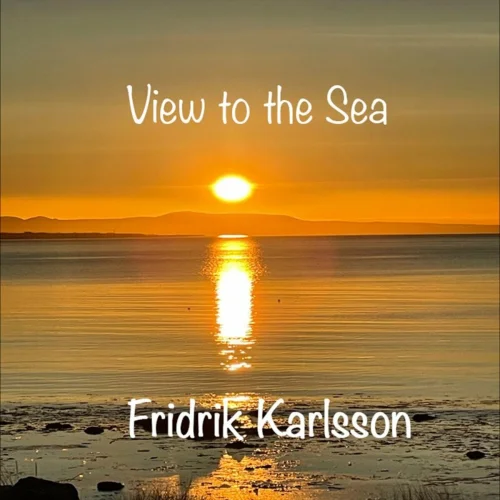 Fridrik Karlsson - View to the Sea (2021)