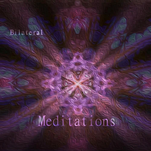 Destined Dynamics - Bilateral Meditations (2020)