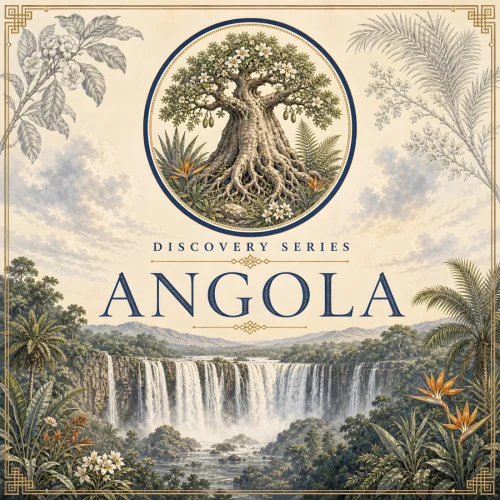 BluetreeAudio - Discovery Series (Angola) (2026)
