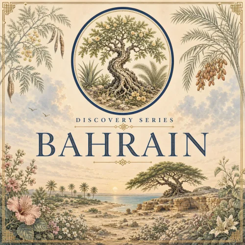 BluetreeAudio - Discovery Series (Bahrain) (2026)