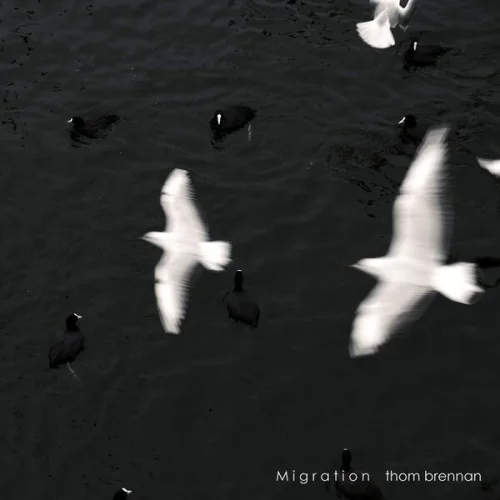 Thom Brennan - Migration (2026)